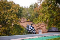 Advanced Group Multicolour Bikes